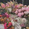 orchidfairy87